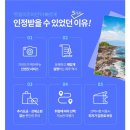 이즈마인 | [트립이즈마인] 제주 뚜벅이들의 리무진투어 후기! 현명한 선택 !