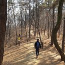 군자성황사지 이미지