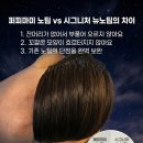 장성미용실
