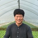 샐러드밭 이미지
