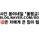 봄이네일샵 네이버블로그