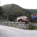 자작나무집 이미지