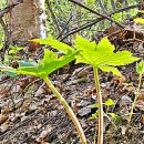 산골 독채 민박 이미지