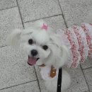 아띠맘마