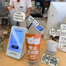 (주)코리아세븐 판교점 | 성남 백현동 [멀멀판교] 방문 후기 + 펫쇼코리아 초청장 나눔
