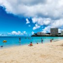 바다정원 이미지