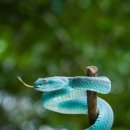 벨뷰의원 이미지