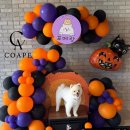 소풍농장 | 광주 전남 포메라니안 모임 포메랑가을 소풍, 아벤티노의 농장 할로윈 포토존 꾸미기