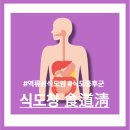 성대한의원 | 역류성식도염목소리변화 목이 쉬는 이유, 성대가 아니라 식도에서 시작될 수 있습니다
