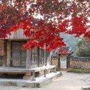 영주한우마을 이미지