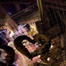 다인펜션 이미지