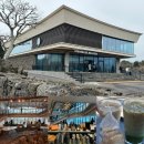 셰프라인 월드 | 국내 최대 스타벅스 리저브 매장 제주송당파크R점 솔직 후기