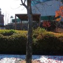 함안고등학교 이미지