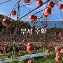 명선농장 이미지