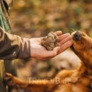 도도2농장 이미지