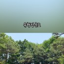 번데미 공원 이미지