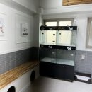 뷰티펫 | 찐 추천. 연산동 개꿀펫뷰티에서 받은 친절함과 꼼꼼함