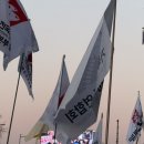 동물사랑연합회 이미지