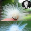 미주리헤어 이미지