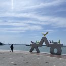 [부산/가덕도] 부산 캠핑 장소 추천, 가덕도 천성항 캠프닉/캠크닉/캠핑 후기