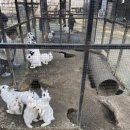 산들염소농장 이미지