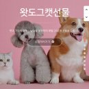 베니펫 - 화성시 상신하길로135번길 6-4 | 고양이 자동 급식기 무료 펫 강아지 선물 왓도그캣 이벤트 바램펫 밀리 사용후기
