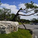 삼원레저타운 이미지