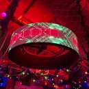 이판사판 | 28세 찐따남 내돈내산 이태원 난장판 후기 | 이태원 이판사판 후기