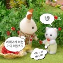 서영광농협주유소 | 26.03 인생은 감자라는 말이 있습니다