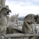 (공연) 뮤지컬 <노트르담 드 파리> 이미지