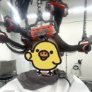 제리안헤어