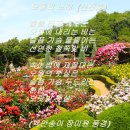 신진호