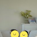 테레사 꽃집
