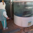 킹 뽑기방 이미지