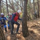 소나무푸드 이미지