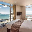 장수안포로 이미지