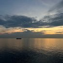 신원메디칼 | 크루즈 승무원 면접 질문 | 실제 면접 후기 | 합격 타임라인 공개 (2026 최신)