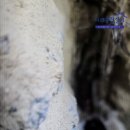 아양주공2차아파트 이미지