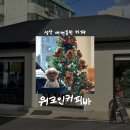 워크인커피바 | [제주/카페] 워크인커피바 • 성산 애견동반 카페 • 두바이 디저트 후기