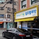 완도1호 이미지