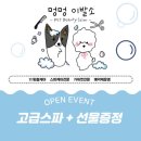 멍멍이발소 네이버블로그