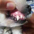 재영동물병원 이미지