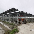 영광 태양광발전소 이미지