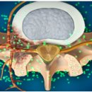 노원자생한방병원 이미지