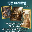 2026-08-16연중 제20주일＜아, 여인아! 네 믿음이 참으로 크구나.＞ 이미지