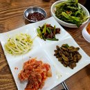 유이애견샵