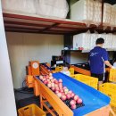 도일농장 이미지