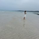 월정리 바다별 이미지