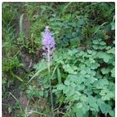 경찰관 순직비 이미지