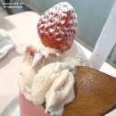 마이리틀벌스데이 이미지